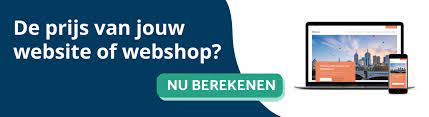 professionele website laten maken kosten