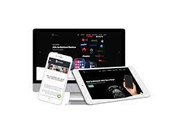 professionele wordpress website