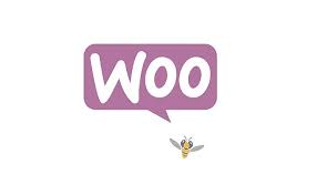 webshop laten bouwen