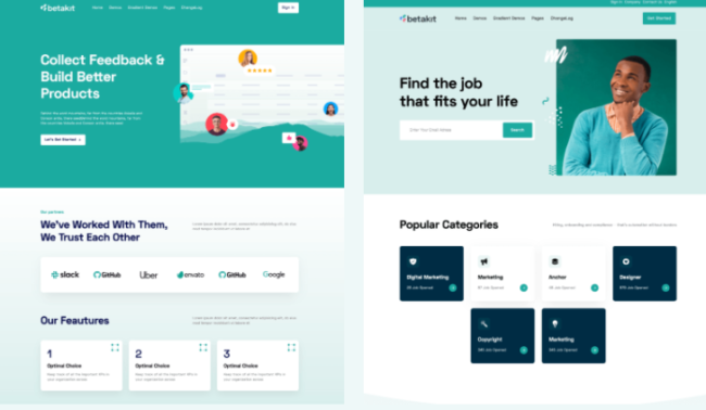 professioneel website