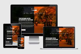 website laten maken drachten