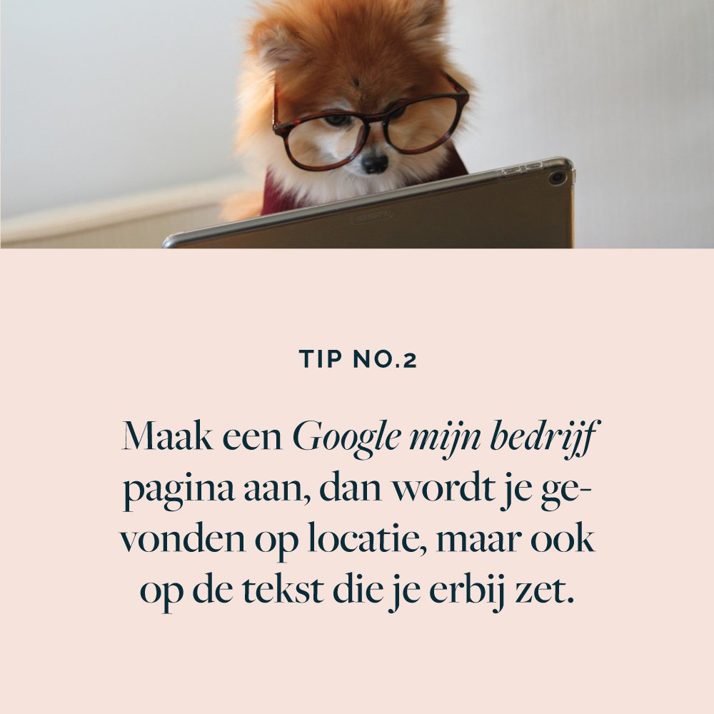 gevonden worden door google