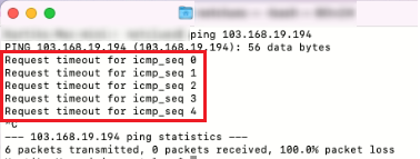 ping website google