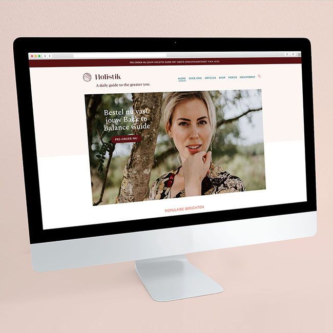 professionele website laten maken prijs
